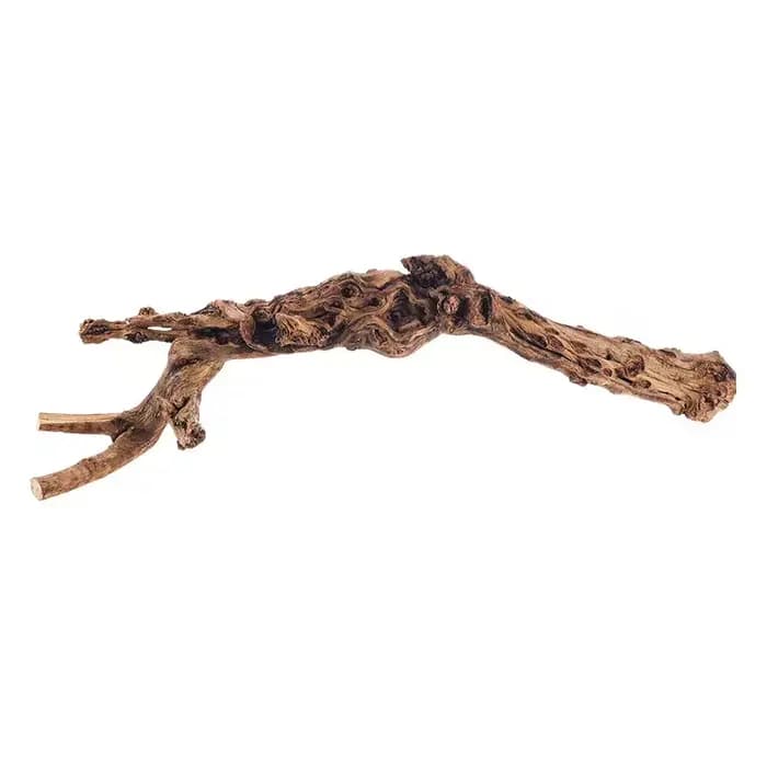 Branche de bois naturel pour animaux de compagnie
