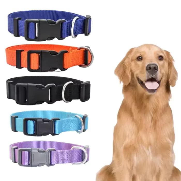 Colliers réglables en Nylon pour chiot et chaton, bande de cou solide et Durable, adaptés aux chats