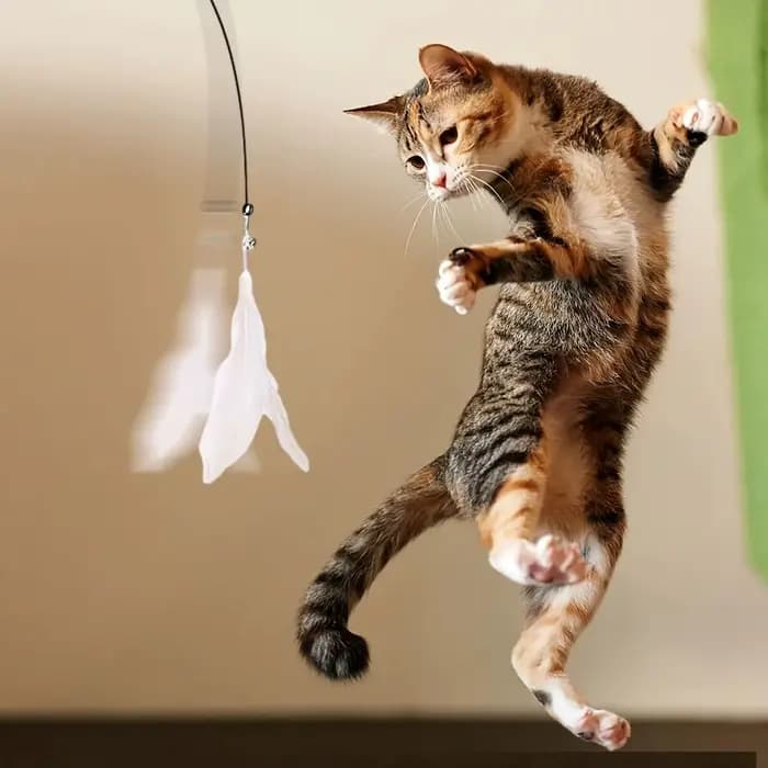 Jouet teaser pour chat avec cloche interactive et baguette en plumes