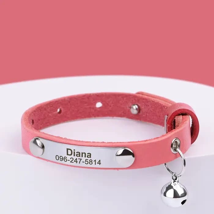 Collier de chat personnalisé réglable en cuir colliers de chats de compagnie collier personnalisé ch