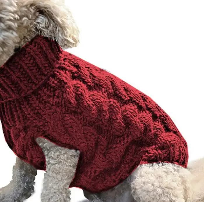 Vêtements tricotés pour chiens Chihuahua pull pour petits