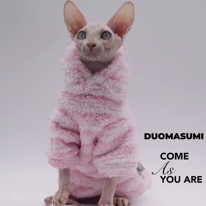 Cardigan en laine de vison pour animaux de compagnie, veste épaisse pour chat Sphinx, vêtements sans