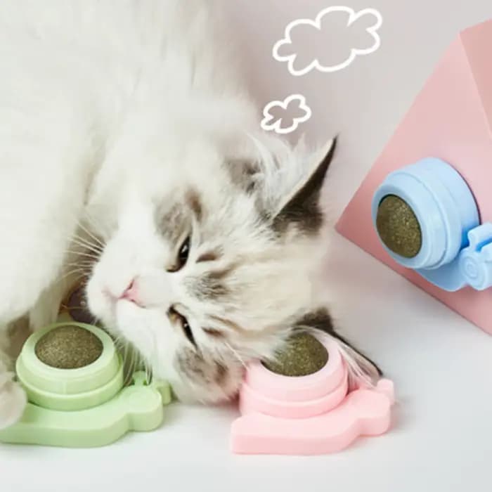 Jouet rotatif à la catnip pour chaton, pour le jeu et le nettoyage des dents