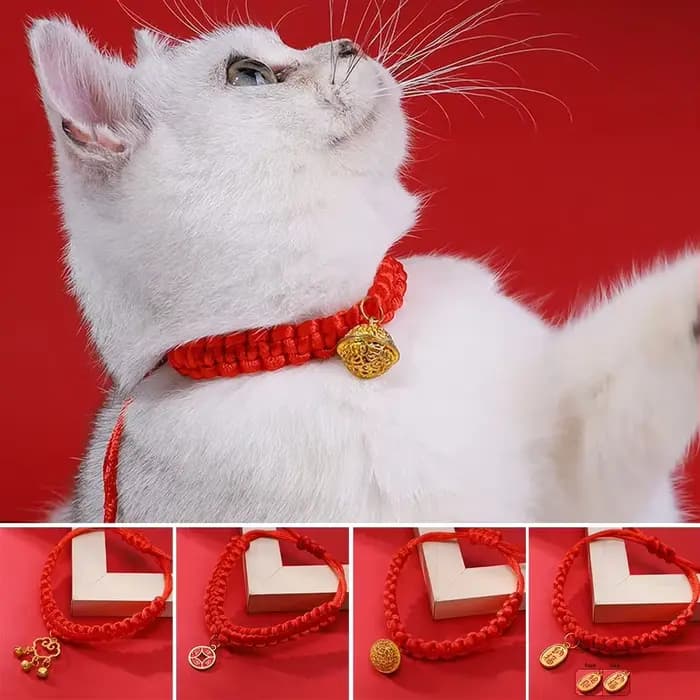Collier Tressé en Corde Rouge pour Chat Chinois