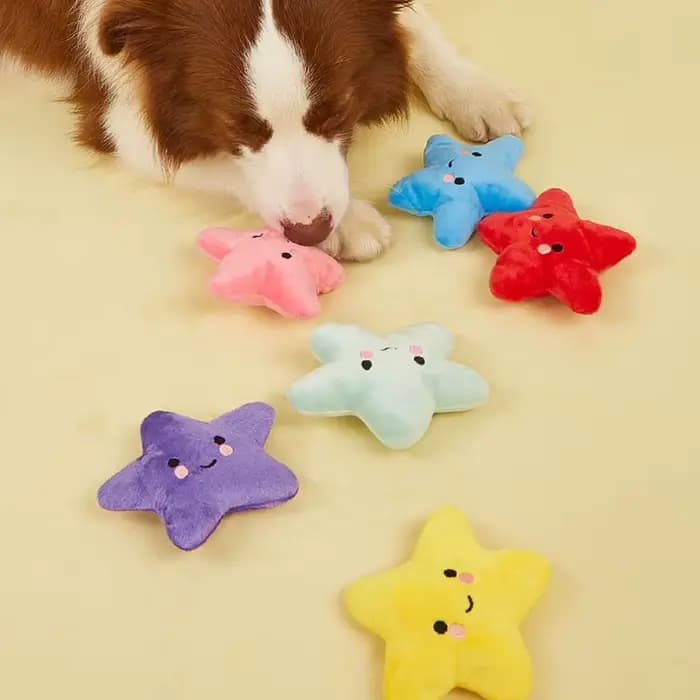 Pentagramme en peluche pour chiot, jouets grinçants pour petits et moyens chiens, mâcher agressifs e