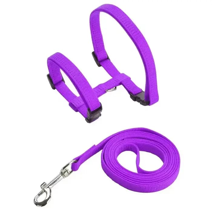 Ensemble harnais et laisse pour chat réglables et légers, collier de sangle pour chaton anti-fuite p