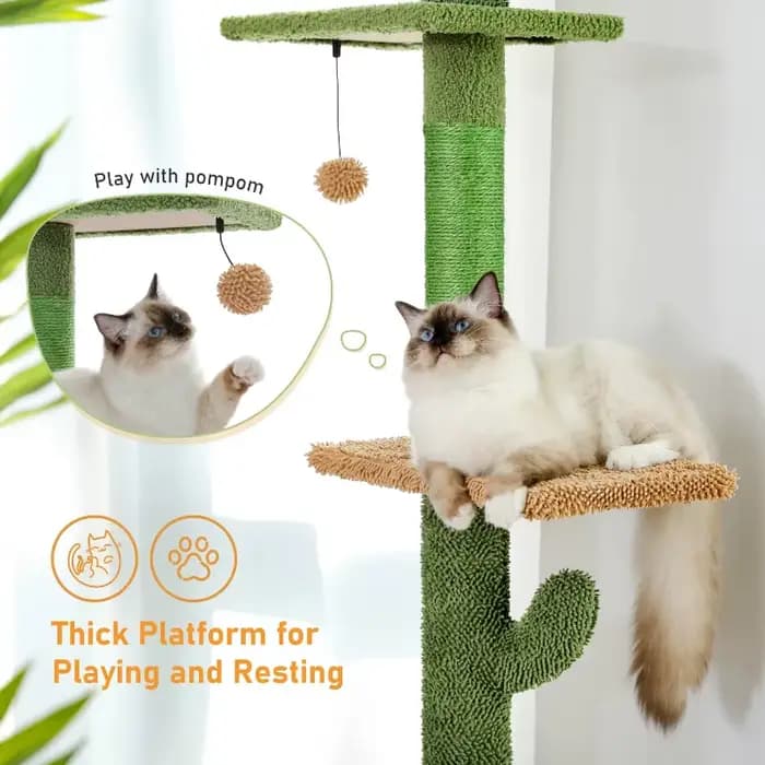 Arbre à chat réglable en hauteur pour intérieur, tour pour chat du sol au plafond avec poteaux à gratter, condo pour chat, hamac et balles suspendues