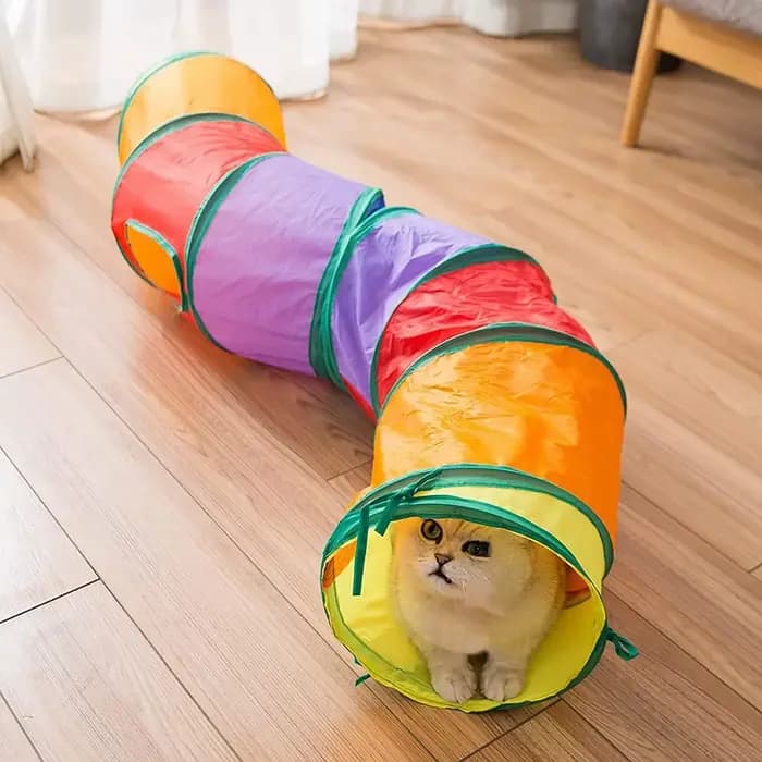 Tube Tunnel pliable pour chat, jouets d'entraînement pour chaton, jouet interactif amusant, Tunnel e