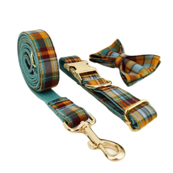Accessoires pour animaux de compagnie : Ensemble collier