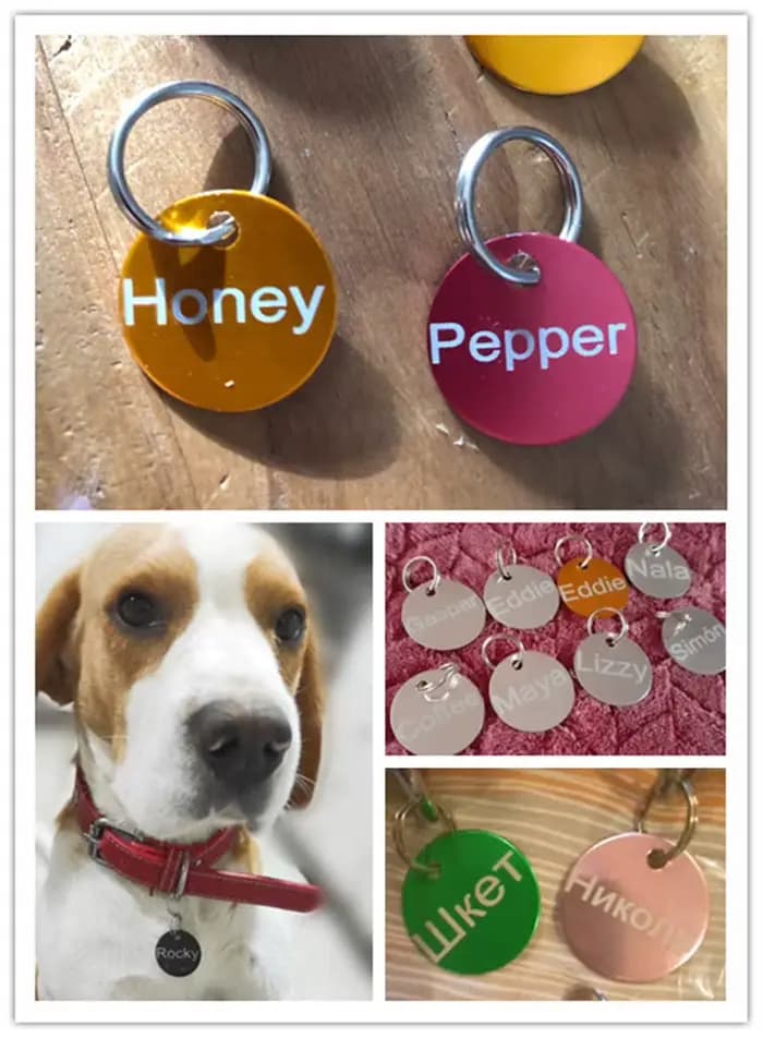 Étiquette d'identification pour chien et chat, gravure Laser gratuite, pendentif avec nom de chiot,