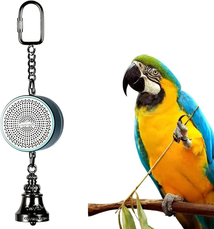 Jouet oiseau Jouets de perroquet à l'enseignement de la formation Entraîneur parlant d'oiseau Enregistrement interactif Lecture