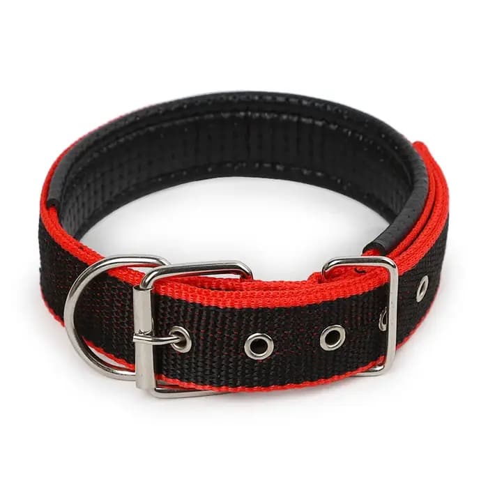 Collier réglable en coton doux pour chien et chat