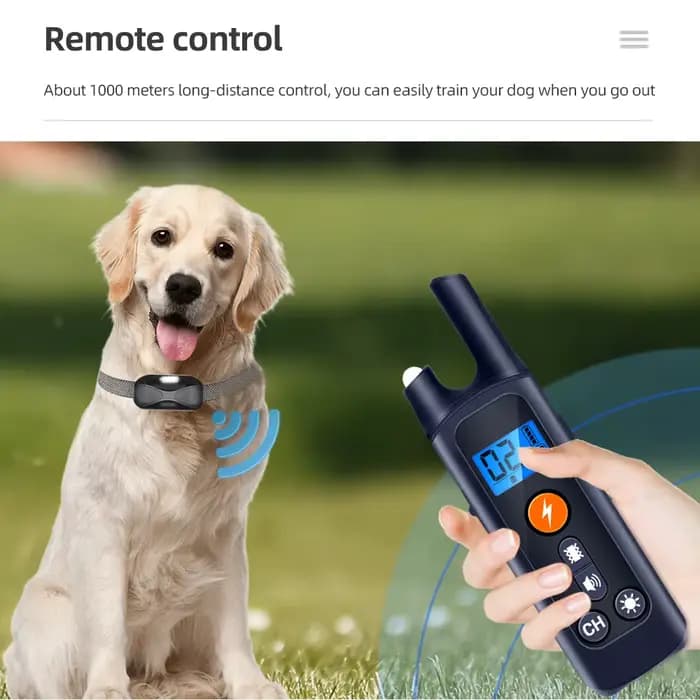 Collier d'Entraînement pour Chien, Étanche, Rechargeable, 1000m, Télécommande, Choc Électrique avec