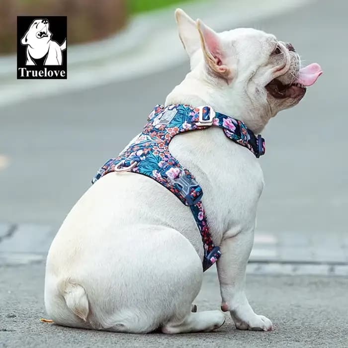 Truelove harnais pour chien nouveau harnais de conception de mode pour petit grand chien coton Flora