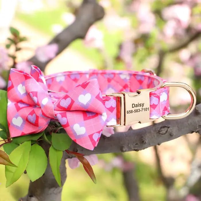 Collier de chien personnalisé imprimé pour fille avec nœud papillon floral, plaque d'identification