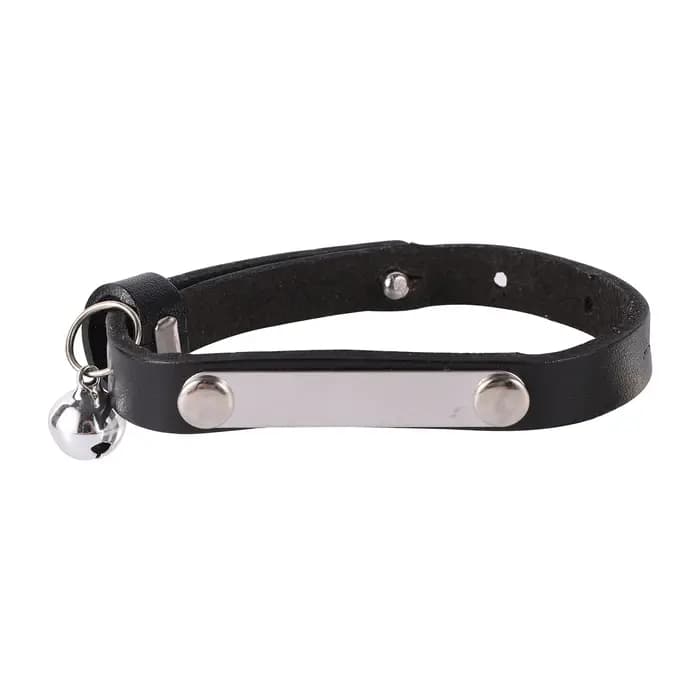 Collier anti-perte personnalisé pour chat