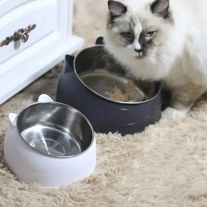 Gamelle 2-en-1 en acier inoxydable pour chat avec support oreilles mignonnes