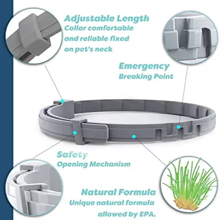 Collier extensible anti-puces pour animaux de compagnie, personnalisé, anti-puces et tiques, grand c