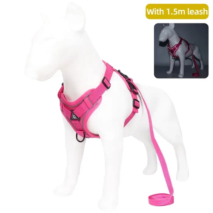 Harnissan-Laisse SFP pour chien et chat