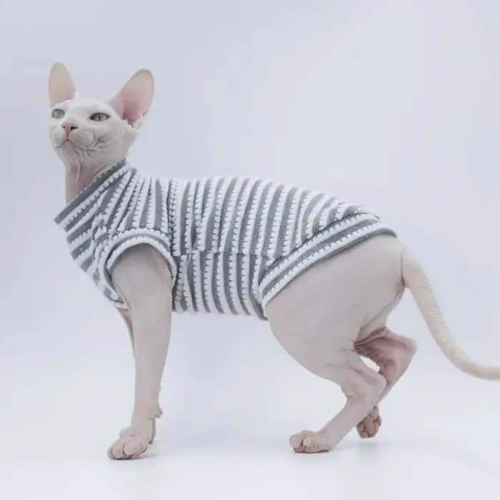 Chemise à fond rayé pour chat Sphinx