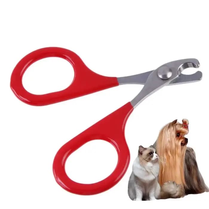 Ciseaux à ongles pour chat et chien, coupe-ongles pour orteils, produits professionnels de toilettag