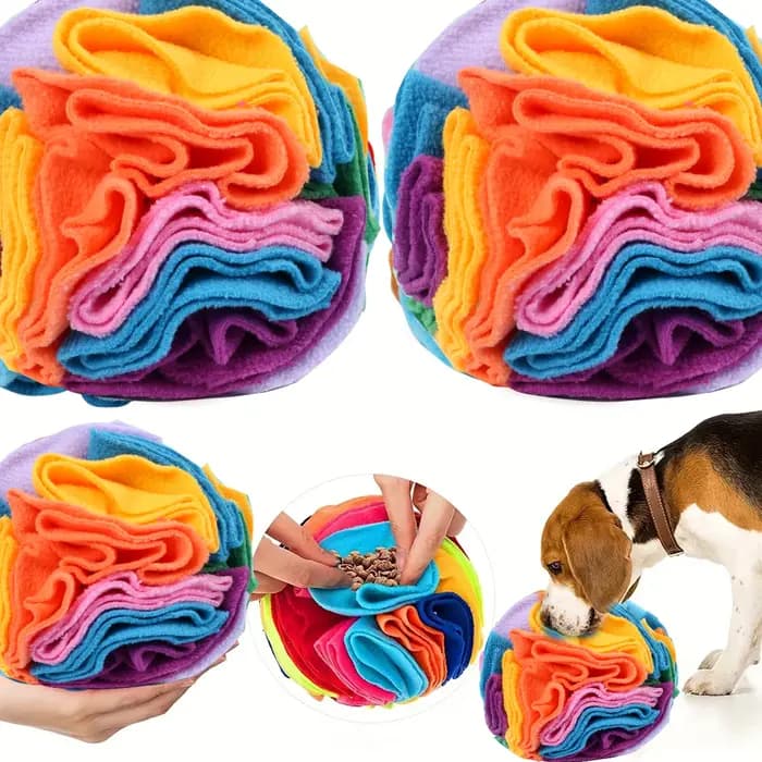 Jouets interactifs pour chiens