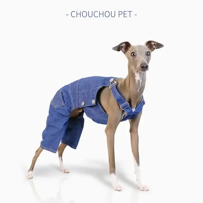 Salopette en denim lévrier italien rétro classique tissu de protection des jambes pantalon réglable whippet à la mode