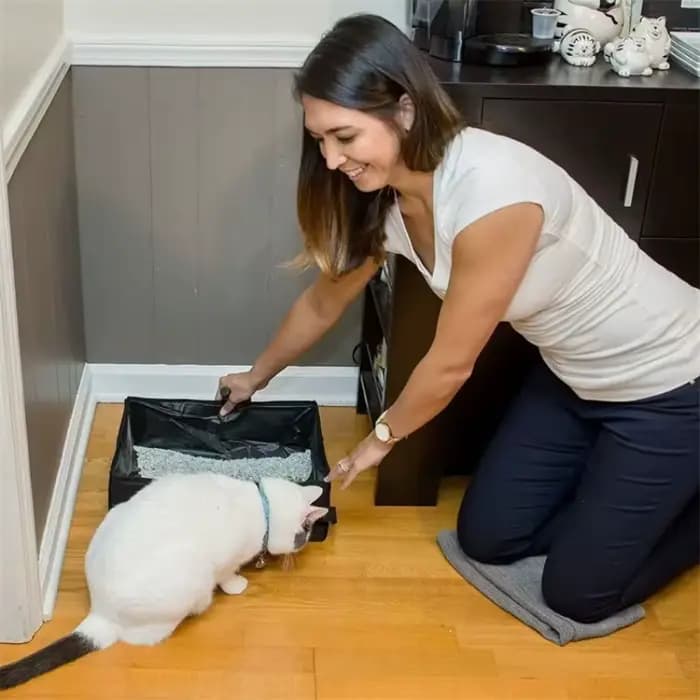 Kit de litière de voyage pour chat avec couvercle