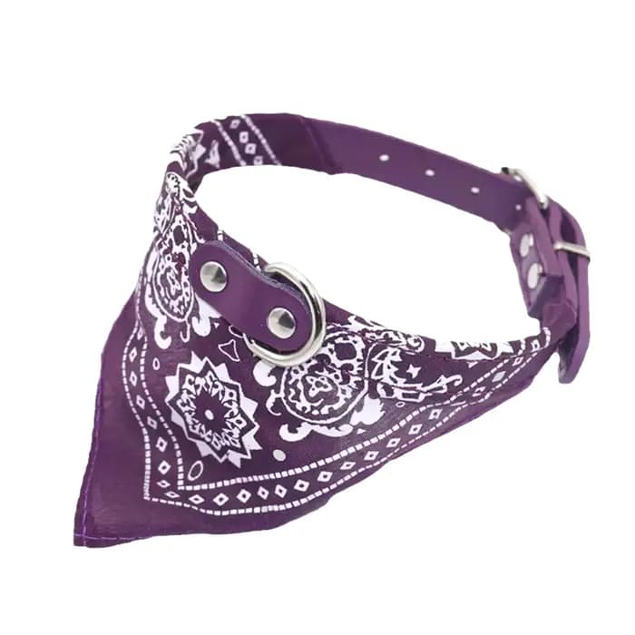 Collier Triangle pour chien et chat
