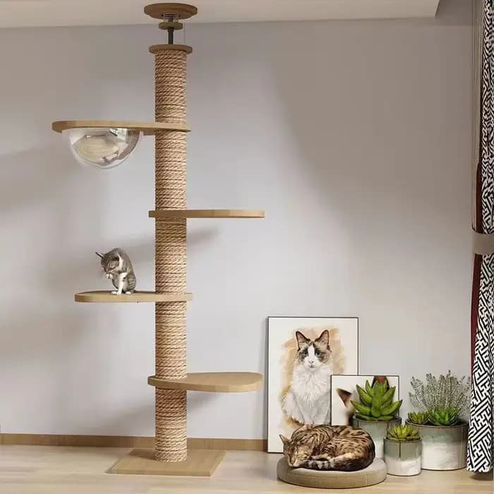Plancher d'arbre pour chats