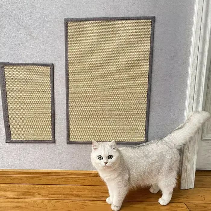 Tapis mural en bambou solide pour chat, Protection du canapé, planche à gratter pour chat, pattes de