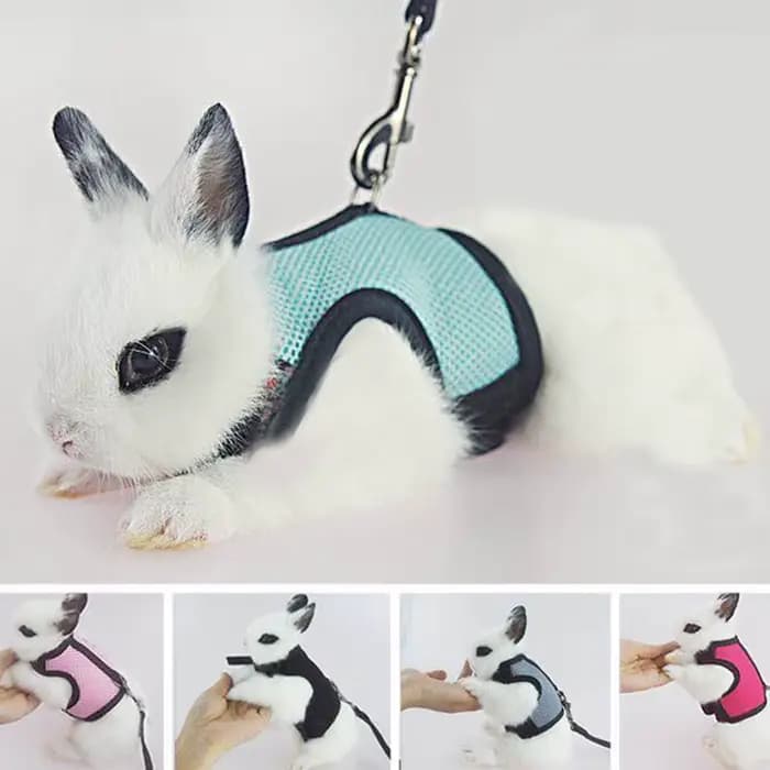 Ensemble harnais et laisse en maille respirante pour lapin, pour furets, accessoires de lapin, harna
