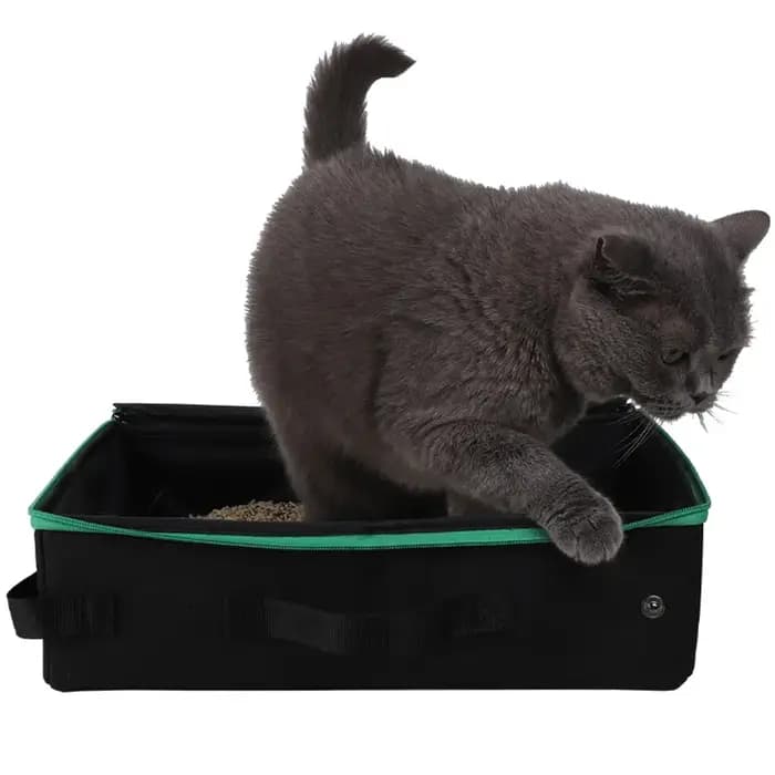 Kit de litière de voyage pour chat avec couvercle