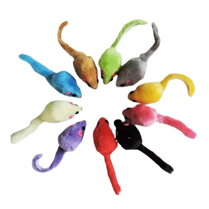 Jouet en peluche pour chat, 5 pièces, souris interactive douce et solide, jouets pour chaton drôle,