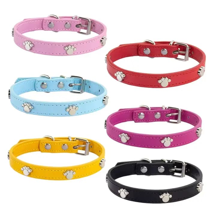 Colliers de chien de compagnie durables en cuir de patte colliers de carlin de chiot pour petit gran