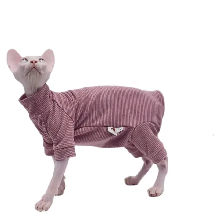 Vêtements pour chats sans poils