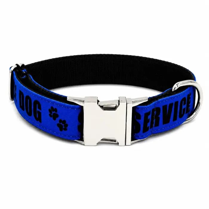 Collier personnalisé pour animaux de compagnie