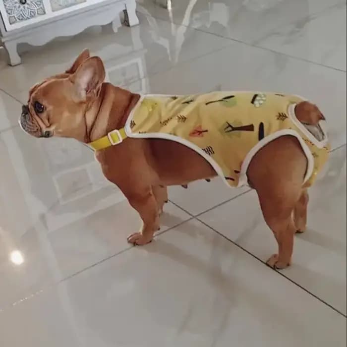 Pantalon physiologique réglable pour bouledogue français, sangle initiée par l'animal de compagnie,