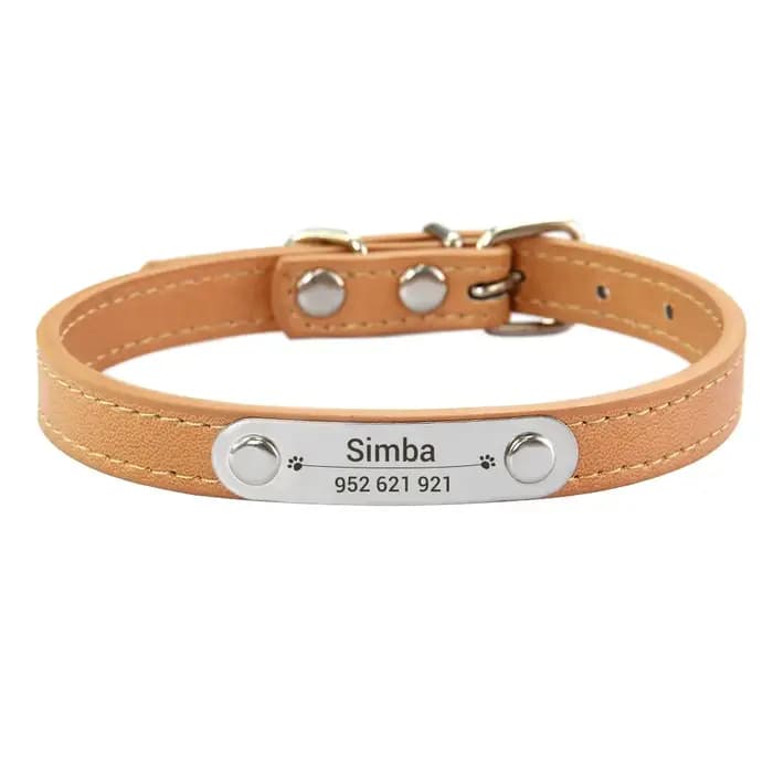 Collier de chien personnalisé avec nom sculpté