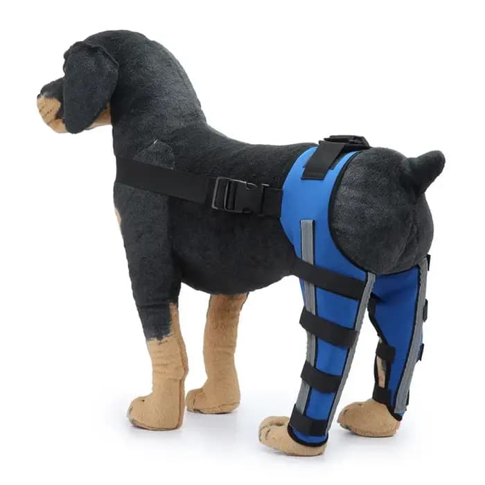 Genouillères pour chiots de compagnie