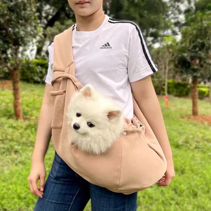 Sac de Transport pour animaux de compagnie en plein air