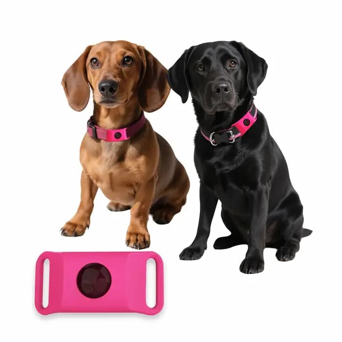 Huiles naturelles anti-puces et anti-touche pour collier de chiens et de chats