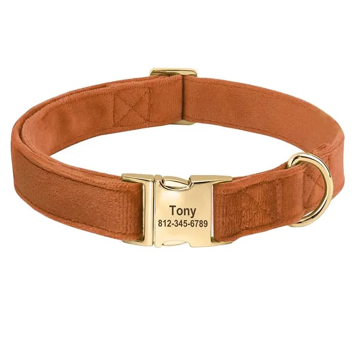 Collier de chien en velours personnalisé