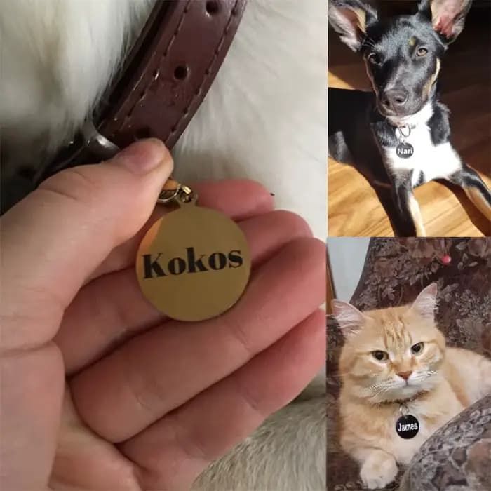 Collier personnalisé avec étiquette circulaire d'identification de chien et de chat, pendentif gravé