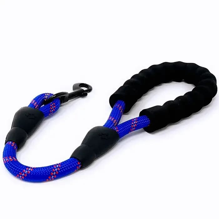 Laisse pour chien laisses courtes pour grand