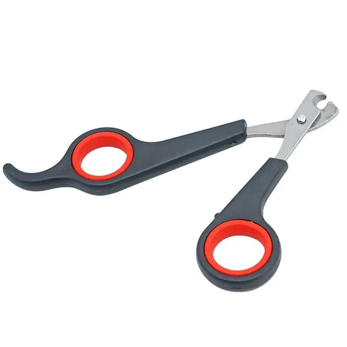 Animal de compagnie oiseau perroquet petits animaux accessoire outil de toilettage ciseaux à ongles tondeuse noir