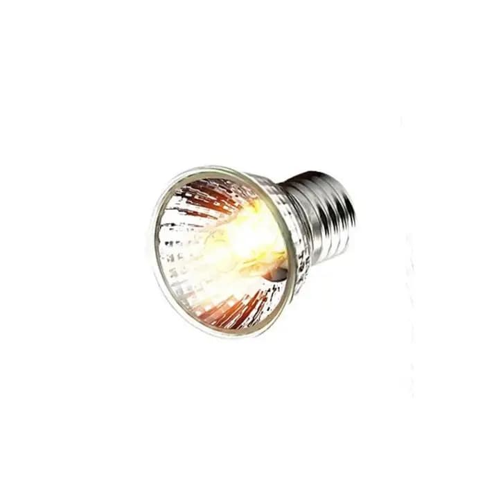 Kit de lampes chauffantes UV remboursables pour animaux de compagnie