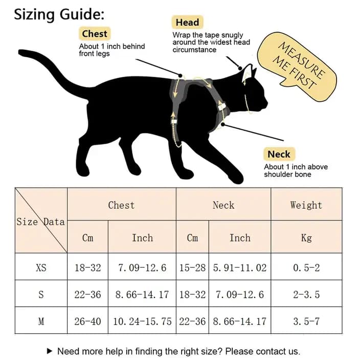 Ensemble harnais et laisse ailes d'ange pour animaux de compagnie, pour chats, chiots, lapin, mignon