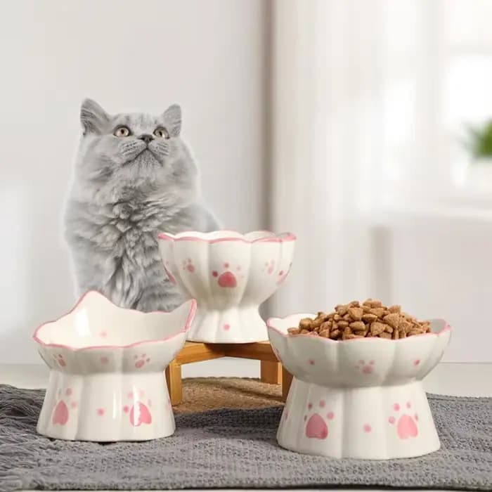 Bol de nourriture en céramique pour chat de compagnie