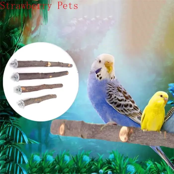 Parrot en bois naturel pour animaux de compagnie, fourchette en bois brut, support de branche d'arbr